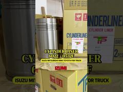 بطانة كتلة الأسطوانة IZUMI GT/6D22 لمحرك ISUZU 6D22